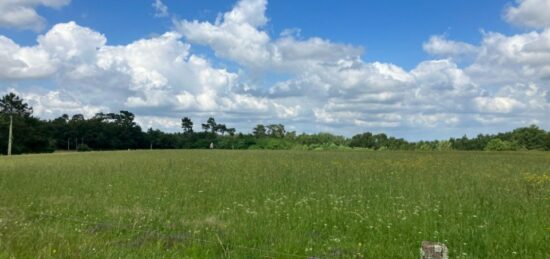 Terrain à bâtir à Saint-Ciers-d'Abzac, Nouvelle-Aquitaine