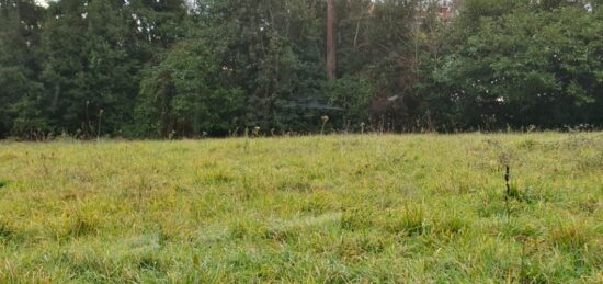 Terrain à bâtir à Tizac-de-Lapouyade, Nouvelle-Aquitaine
