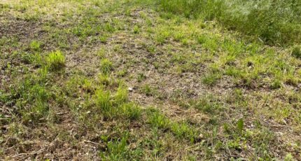 Saint-Jean-d'Angély Maison neuve - 2462454-11194annonce2202603206gef1.jpeg Maisons France Confort