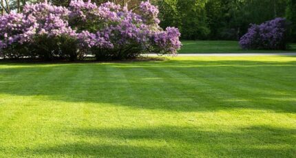 Fabas Maison neuve - 2465087-3925annonce120260323pI8t3.jpeg Maisons France Confort