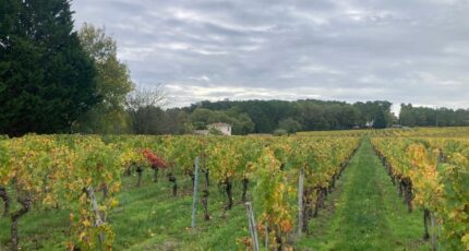 Saint-Sauveur-de-Puynormand Terrain à bâtir - 2466866-11367annonce120260325mVbSZ.jpeg Maisons France Confort