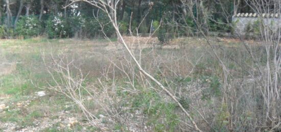 Terrain à bâtir à Lattes, Occitanie