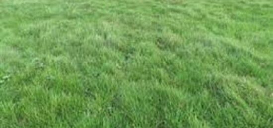 Terrain à bâtir à Champigny, Bourgogne-Franche-Comté