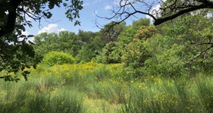 Aix-en-Provence Maison neuve - 2433308-11115annonce2202602189sB28.jpeg Maisons France Confort