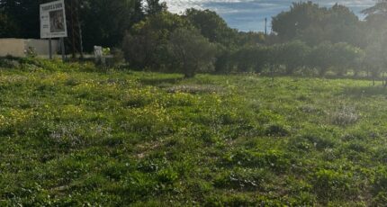 Saint-Cannat Terrain à bâtir - 2429606-11115annonce120260215swRnz.jpeg Maisons France Confort