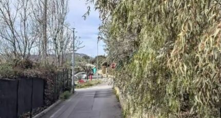 Saint-Cannat Terrain à bâtir - 2429606-11115annonce420260215PLRT3.jpeg Maisons France Confort