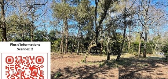 Terrain à bâtir à Notre-Dame-de-Riez, Pays de la Loire