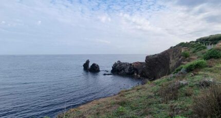 Agde Maison neuve - 2468014-11018annonce3202603262i5KA.jpeg Maisons France Confort