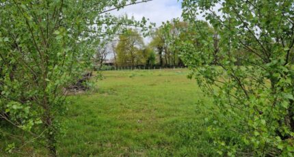 Saint-Sulpice-et-Cameyrac Maison neuve - 2468257-11315annonce120260326BtrzI.jpeg Maisons France Confort