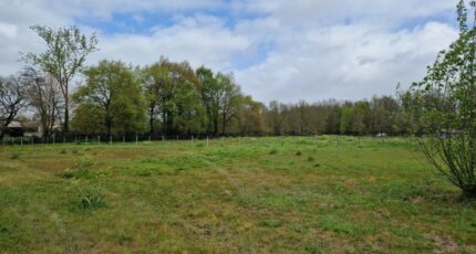 Saint-Sulpice-et-Cameyrac Maison neuve - 2468257-11315annonce220260326mkSKb.jpeg Maisons France Confort