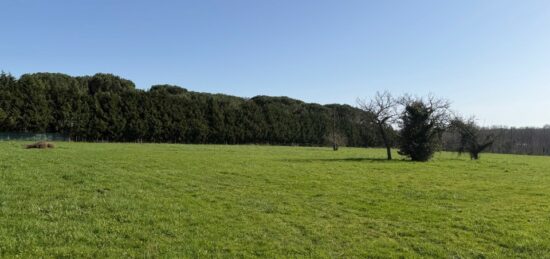 Terrain à bâtir à Langon, Nouvelle-Aquitaine