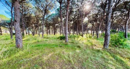 Carnoules Terrain à bâtir - 2468493-9707annonce2202603265Vz2x.jpeg Maisons France Confort