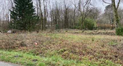 Cestas Terrain à bâtir - 2468588-11689annonce120260326tyPZp.jpeg Maisons France Confort