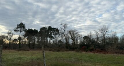 Balizac Terrain à bâtir - 2468509-10677annonce1202603263fglK.jpeg Maisons France Confort