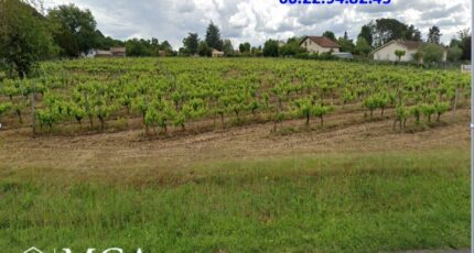 Castres-Gironde Maison neuve - 2443922-3601annonce1202602279TMh8.jpeg Maisons France Confort