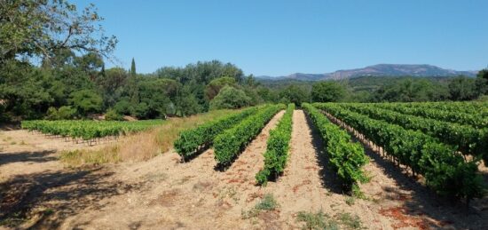 Maison neuve à , Var