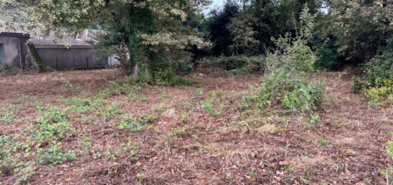 Terrain à bâtir à Saint-Estèphe, Nouvelle-Aquitaine