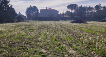 Moussan Maison neuve - 2434517-11782annonce1202602196hLxa.jpeg Maisons France Confort