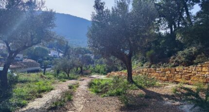 Solliès-Toucas Maison neuve - 2469070-11039annonce220260327wGAPp.jpeg Maisons France Confort