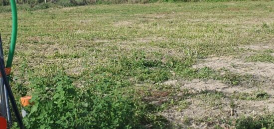 Terrain à bâtir à Cubnezais, Nouvelle-Aquitaine