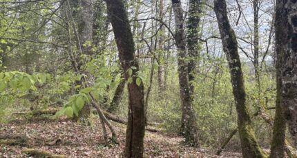 Notre-Dame-de-Sanilhac Terrain à bâtir - 2469064-11794annonce220260327iNsDq.jpeg Maisons France Confort