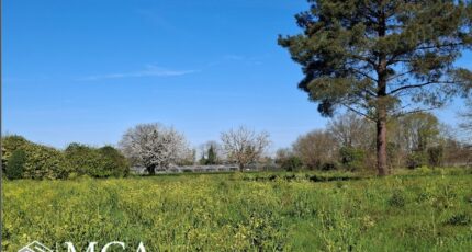 Saint-Pierre-d'Eyraud Maison neuve - 2469311-11103annonce1202603279AoIl.jpeg Maisons France Confort