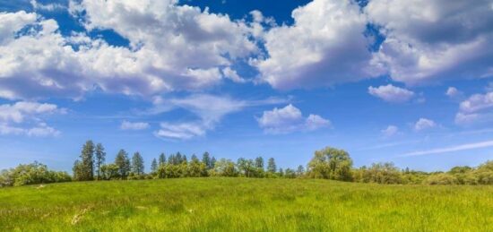 Terrain à bâtir à Artannes-sur-Indre, Centre-Val de Loire