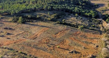 Narbonne Maison neuve - 2469805-11782annonce120260327nOiE2.jpeg Maisons France Confort