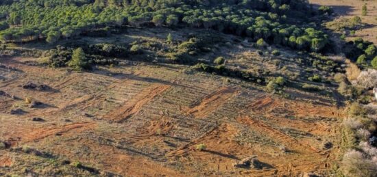 Terrain à bâtir à Narbonne, Occitanie