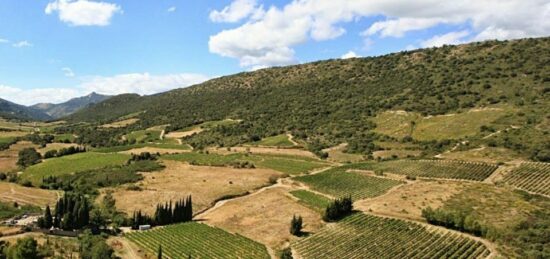 Terrain à bâtir à Ornaisons, Occitanie