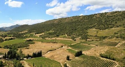 Ornaisons Terrain à bâtir - 2469936-11782annonce12026032761UVg.jpeg Maisons France Confort