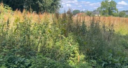 Yvetot Maison neuve - 2469974-11168annonce120260327iOBGo.jpeg Maisons France Confort