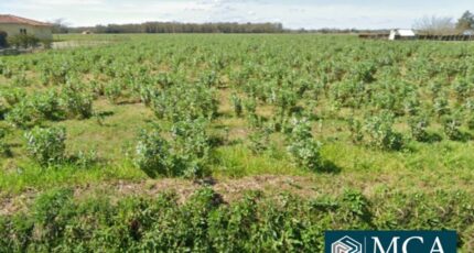 Onard Maison neuve - 2470145-5828annonce120250829h2yhM.jpeg Maisons France Confort