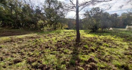 Saint-Raphaël Terrain à bâtir - 2470175-11157annonce220260327XgexI.jpeg Maisons France Confort