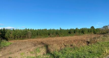 Auros Terrain à bâtir - 2470188-11292annonce120260327MVs68.jpeg Maisons France Confort