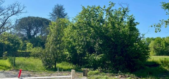 Maison neuve à , Gironde