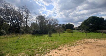 Saint-Maximin-la-Sainte-Baume Maison neuve - 2470414-11680annonce520260328fJzDc.jpeg Maisons France Confort