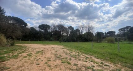 Saint-Maximin-la-Sainte-Baume Maison neuve - 2470417-11680annonce320260328RZSRy.jpeg Maisons France Confort