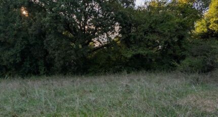 Colayrac-Saint-Cirq Maison neuve - 2470415-11091annonce120260216X1AX4.jpeg Maisons France Confort