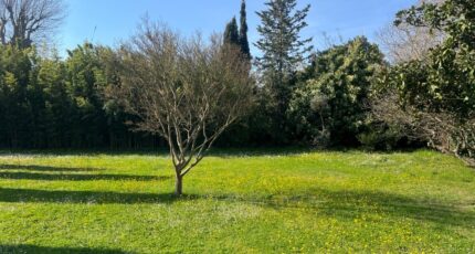 Saint-Rémy-de-Provence Maison neuve - 2470514-11073annonce420260329EobfL.jpeg Maisons France Confort