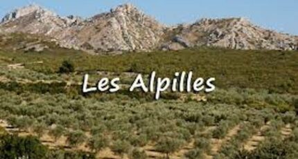 Sénas Maison neuve - 2463702-11837annonce1202603218oDg1.jpeg Maisons France Confort