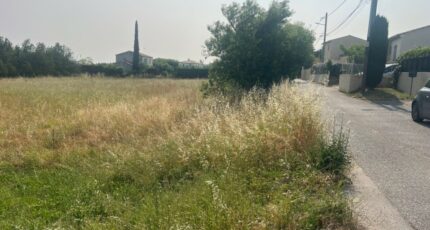 Alleins Terrain à bâtir - 2470659-11073annonce520260329iU5pZ.jpeg Maisons France Confort