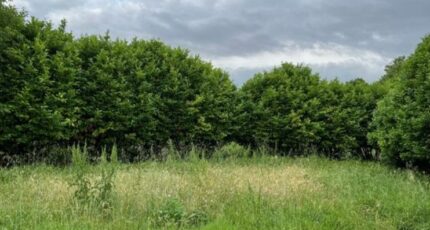 Loriol-sur-Drôme Maison neuve - 2471067-812annonce320250725vGMcG.jpeg Maisons France Confort