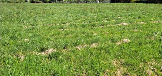 Terrain à bâtir à Gardonne, Nouvelle-Aquitaine