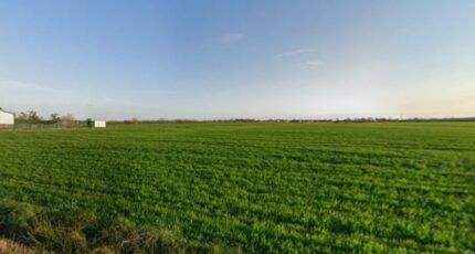 Lamasquère Maison neuve - 2469891-6043annonce220260327iiTpD.jpeg Maisons France Confort