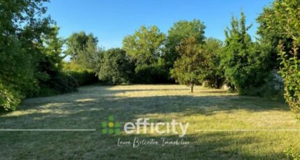 Combs-la-Ville Maison neuve - 2431977-10885annonce120260217GfG2t.jpeg Maisons France Confort