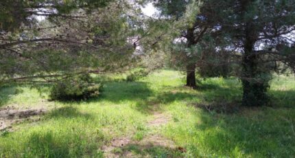 Saint-Jean-de-Fos Maison neuve - 2471892-11040annonce120260330Pvdrh.jpeg Maisons France Confort