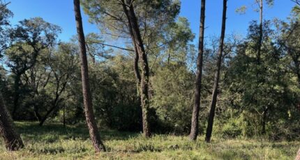 Suze-la-Rousse Maison neuve - 2403236-6150annonce420250524nuSHL.jpeg Maisons France Confort