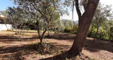 Draguignan Maison neuve - 2471995-10295annonce120260213wvigW.jpeg Maisons France Confort