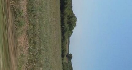 Meursac Terrain à bâtir - 2376352-annonceTerrain-20260204083844.JPEG Maisons France Confort